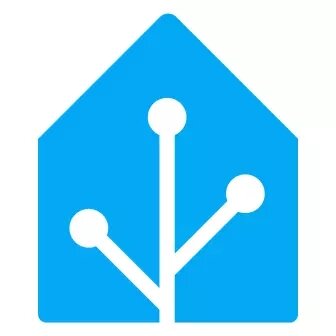 Online introductie Home Assistant